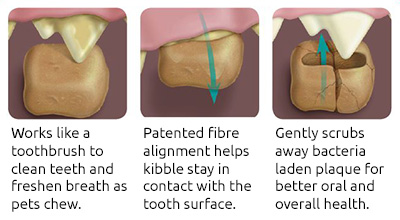 Kibble Graphic