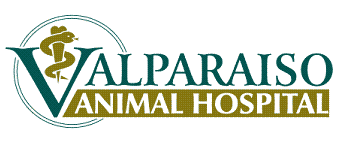 Valparaiso Animal Hospital